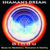 Bindu